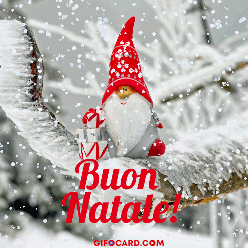 Christmas Closure Christmas Closure